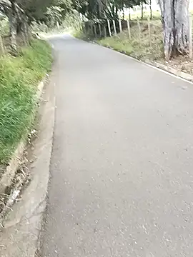 C vas  online show from December 9, 2024, 11:47 am