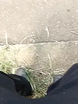 C vas  online show from December 11, 2024, 12:02 pm