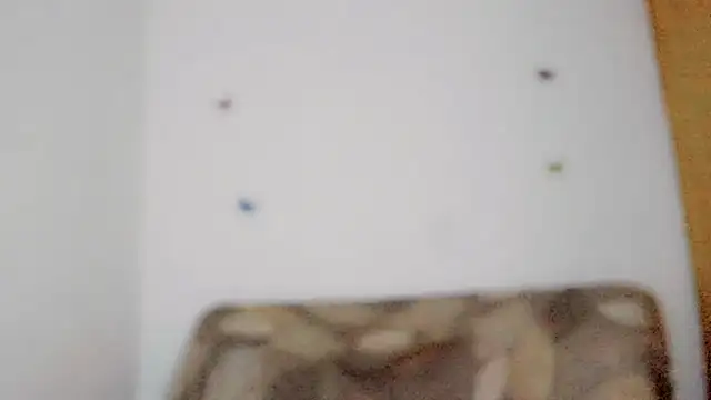 TatiGil online show from April 10, 2026, 8:49 pm