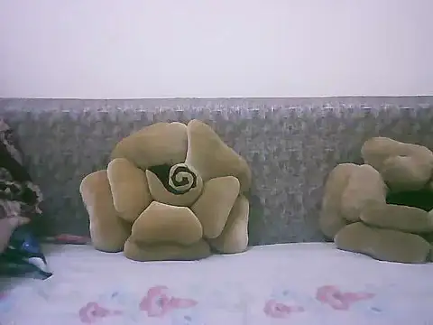 Snapshot of LOVE-SUSHILA chatting on November 7, 2025, 8:30 am LOVE-SUSHILA online show from November 7, 2025, 8:30 am