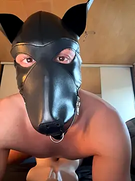 PlayDog123 online show from November 4, 2025, 3:16 pm