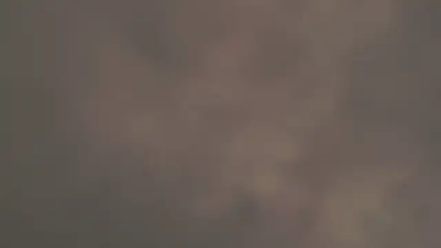 Snapshot of StellaCRL chatting on March 7, 2025, 10:24 am StellaCRL online show from March 7, 2025, 10:24 am