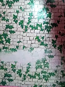 Tamil queensexy online show from December 20, 2024, 1:00 pm