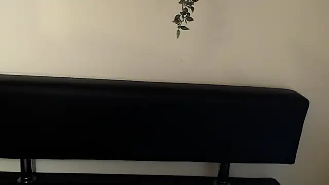 LaimaV  online show from April 10, 2026, 4:47 pm