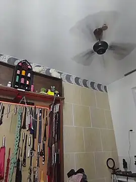 Sw Mahnenwolf online show from December 2, 2025, 12:40 pm