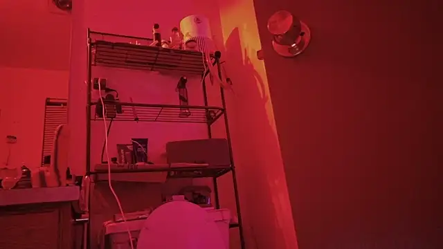 SlammyDjr online show from March 3, 2026, 11:28 am