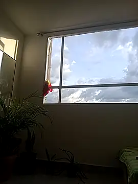 Snapshot of Dangerouspassion777 chatting on September 30, 2025, 10:05 pm Dangerouspassion777 online show from September 30, 2025, 10:05 pm