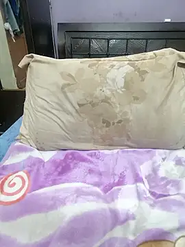 wildsakhi online show from February 1, 2026, 11:19 am