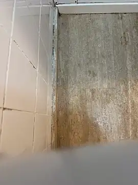 Snapshot of reelciii21 chatting on March 23, 2025, 12:58 am reelciii21 online show from March 23, 2025, 12:58 am