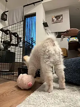 kensnb online show from March 9, 2026, 9:07 pm