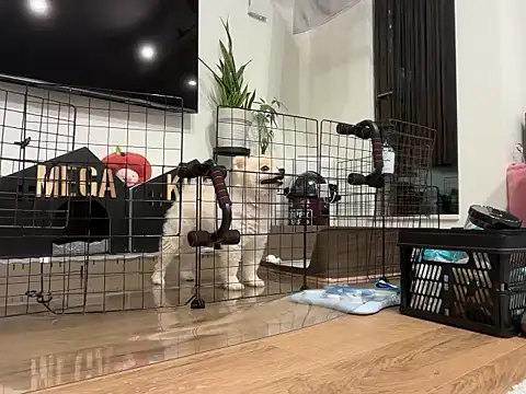 kensnb online show from November 28, 2025, 8:14 am