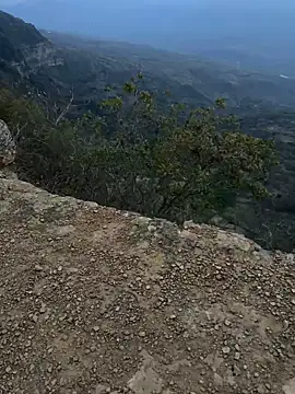 Snapshot of cataafitt chatting on March 5, 2025, 11:16 pm cataafitt online show from March 5, 2025, 11:16 pm