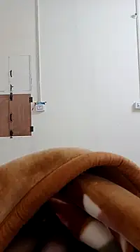 Pussy  1lover69 online show from December 1, 2024, 7:30 pm