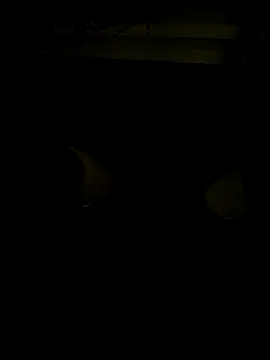 coppiapazza online show from December 18, 2025, 11:19 pm