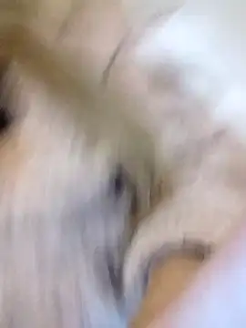 Snapshot of fofinhaa12 chatting on February 10, 2026, 1:15 am fofinhaa12 online show from February 10, 2026, 1:15 am