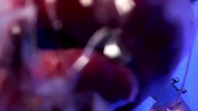 Snapshot of delilah_fix chatting on September 10, 2025, 2:16 pm delilah fix online show from September 10, 2025, 2:16 pm