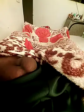 bengala223 online show from January 28, 2025, 11:49 am