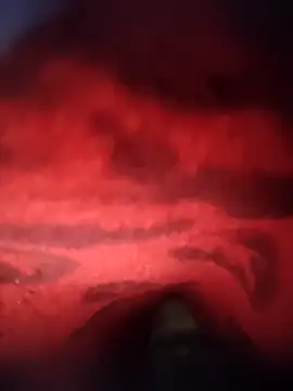 CradledAcclaim online show from April 28, 2026, 2:27 am