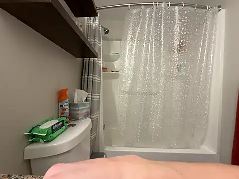 Snapshot of MissSwitch chatting on March 20, 2025, 12:54 pm MissSwitch online show from March 20, 2025, 12:54 pm