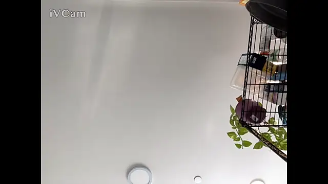 Snapshot of MisterHardCockk chatting on December 22, 2025, 7:03 pm MisterHardCockk online show from December 22, 2025, 7:03 pm