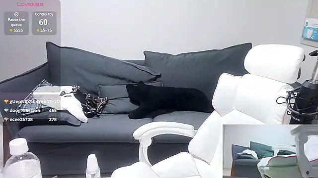 meow S2 online show from January 6, 2025, 10:13 am