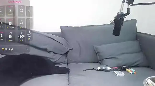 meow S2 online show from January 22, 2025, 7:14 am