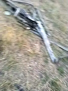 jellydicks online show from March 29, 2026, 12:51 pm