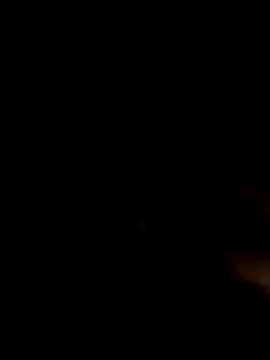 jellydicks online show from June 14, 2026, 5:41 am