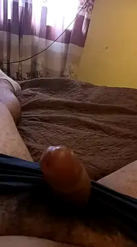 Snapshot of pedritolobito chatting on January 31, 2025, 1:45 pm pedritolobito online show from January 31, 2025, 1:45 pm