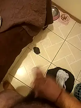 Snapshot of pedritolobito chatting on January 17, 2025, 4:36 pm pedritolobito online show from January 17, 2025, 4:36 pm