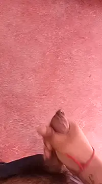 Snapshot of pedritolobito chatting on January 15, 2025, 1:41 pm pedritolobito online show from January 15, 2025, 1:41 pm