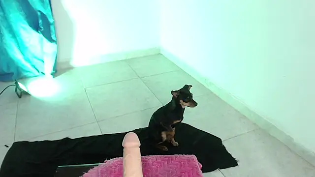 Snapshot of April_sexycurvi chatting on November 21, 2025, 1:37 am April sexycurvi online show from November 21, 2025, 1:37 am