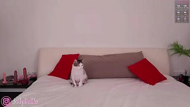 jolly bellle online show from October 26, 2025, 1:17 am