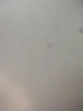 Snapshot of geilerschwanz64 chatting on December 1, 2025, 9:10 am geilerschwanz64 online show from December 1, 2025, 9:10 am