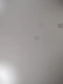 Snapshot of geilerschwanz64 chatting on October 24, 2025, 7:07 am geilerschwanz64 online show from October 24, 2025, 7:07 am