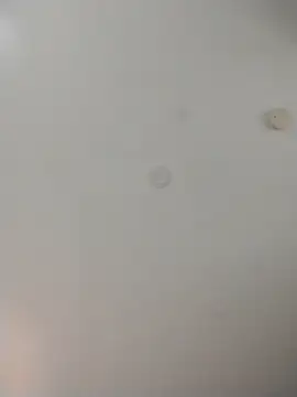 Snapshot of geilerschwanz64 chatting on November 13, 2025, 10:02 pm geilerschwanz64 online show from November 13, 2025, 10:02 pm