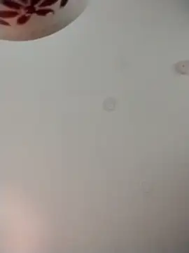 Snapshot of geilerschwanz64 chatting on November 9, 2025, 1:53 am geilerschwanz64 online show from November 9, 2025, 1:53 am