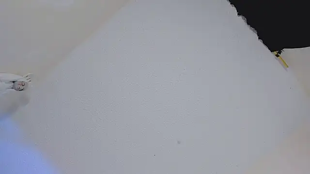 Snapshot of missycanoo chatting on October 22, 2025, 12:43 am missycanoo online show from October 22, 2025, 12:43 am