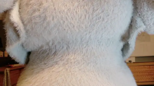 Snapshot of _Yui_ chatting on October 18, 2025, 2:08 pm Yui online show from October 18, 2025, 2:08 pm