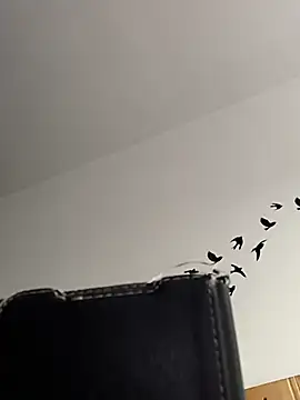 bogland33 online show from March 5, 2026, 8:00 am