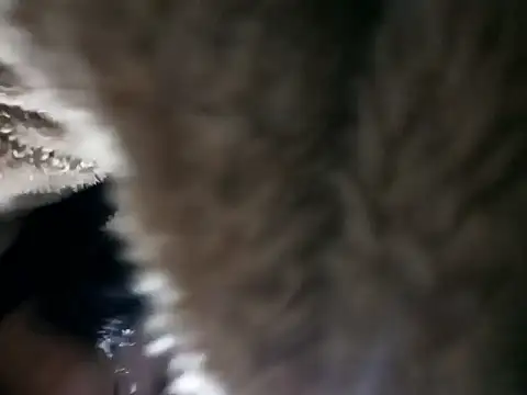 Elvishcassie  online show from January 6, 2026, 10:14 pm