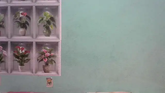 nanhi munni online show from February 19, 2026, 1:46 am