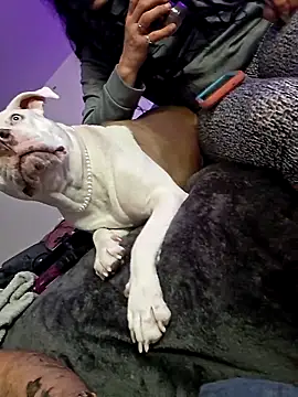 Jokergotherwett online show from March 3, 2026, 8:10 am