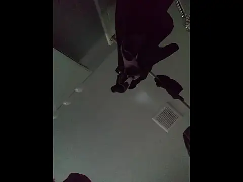 DevinToore online show from April 5, 2026, 12:50 am