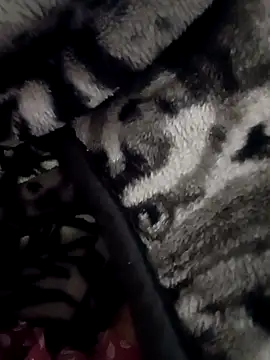 7inchwala8797 online show from November 4, 2025, 1:37 pm