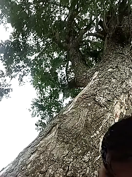 arafat mia online show from April 12, 2026, 2:59 am