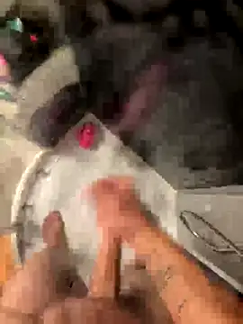 Snapshot of lescro95_ chatting on October 4, 2025, 5:47 pm lescro95 online show from October 4, 2025, 5:47 pm