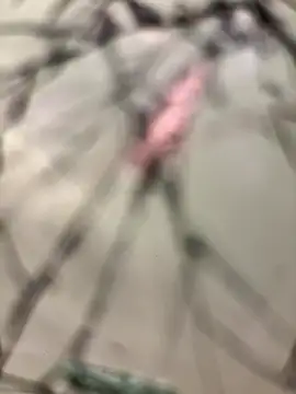 Snapshot of lescro95_ chatting on December 14, 2025, 3:28 pm lescro95 online show from December 14, 2025, 3:28 pm