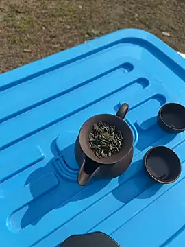 Snapshot of CN-Shanshan chatting on February 1, 2026, 4:00 am CN-Shanshan online show from February 1, 2026, 4:00 am