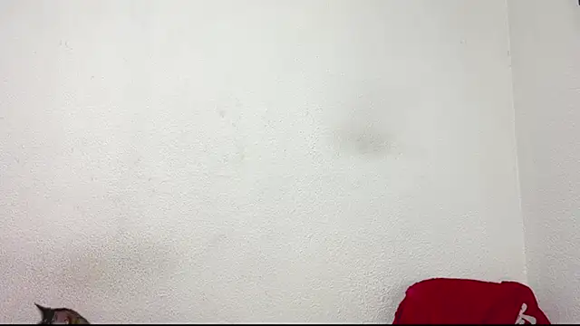 Snapshot of logan_x3 chatting on March 31, 2026, 4:14 am logan x3 online show from March 31, 2026, 4:14 am